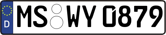 MS-WY0879