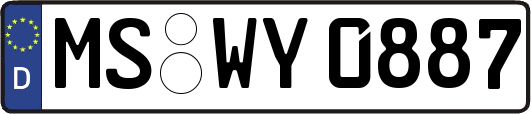 MS-WY0887