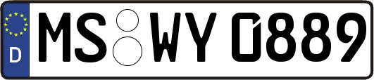 MS-WY0889