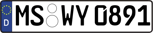 MS-WY0891