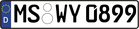 MS-WY0899