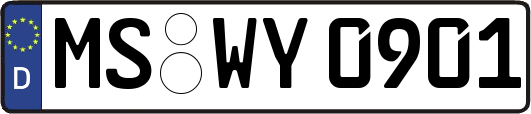MS-WY0901