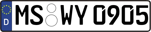 MS-WY0905