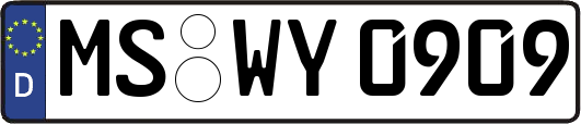 MS-WY0909