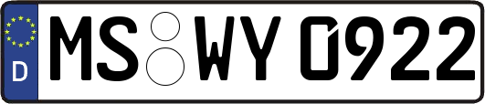 MS-WY0922