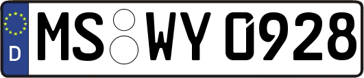 MS-WY0928