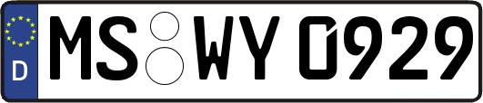 MS-WY0929