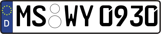 MS-WY0930