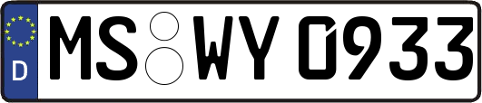 MS-WY0933