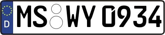 MS-WY0934