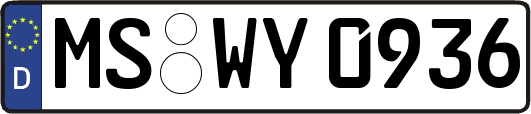 MS-WY0936
