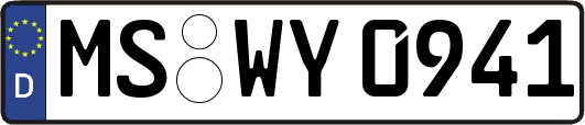 MS-WY0941