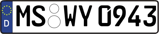 MS-WY0943