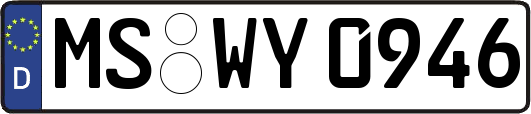 MS-WY0946
