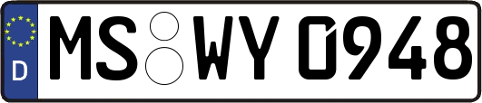 MS-WY0948