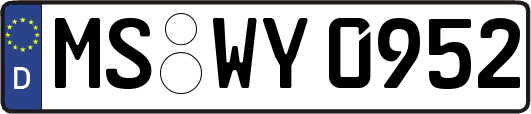 MS-WY0952
