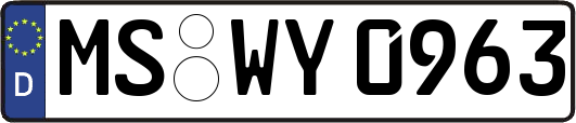 MS-WY0963