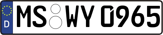 MS-WY0965