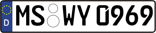 MS-WY0969