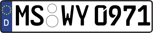 MS-WY0971