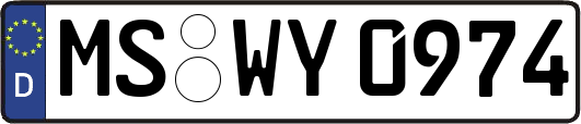 MS-WY0974