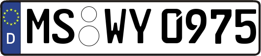 MS-WY0975