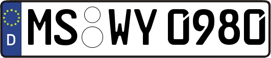 MS-WY0980