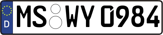 MS-WY0984