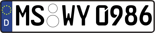 MS-WY0986