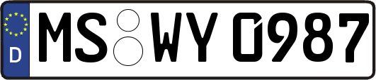MS-WY0987