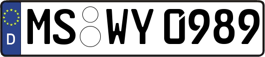 MS-WY0989