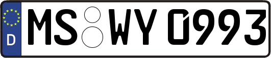 MS-WY0993