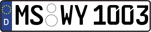 MS-WY1003