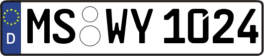MS-WY1024