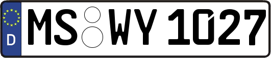 MS-WY1027