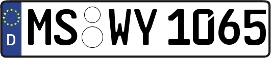 MS-WY1065