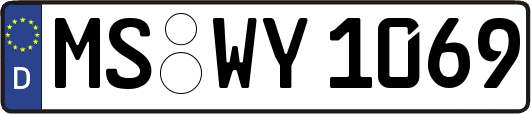 MS-WY1069