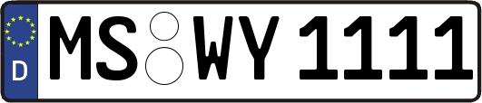 MS-WY1111