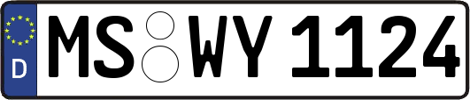 MS-WY1124