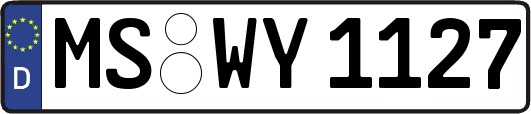 MS-WY1127