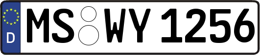 MS-WY1256