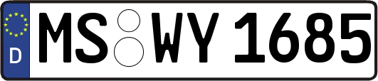MS-WY1685