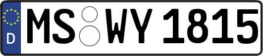 MS-WY1815
