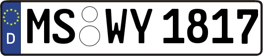 MS-WY1817
