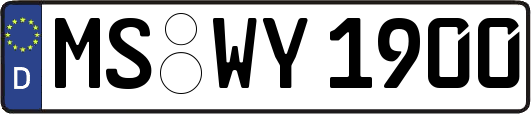 MS-WY1900