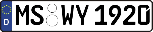 MS-WY1920