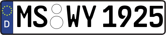 MS-WY1925