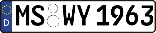 MS-WY1963