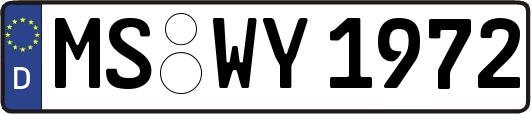 MS-WY1972