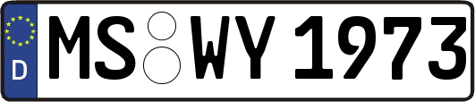 MS-WY1973